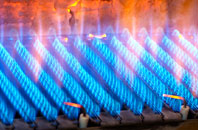 Meigle gas fired boilers